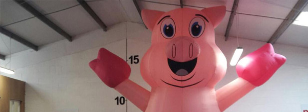 inflated pig