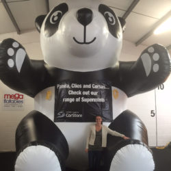 Giant Inflatable Panda