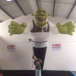 Giant Inflatable Shrek Airdancer