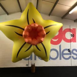 Helium Daff