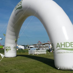 Giant Inflatable Arch