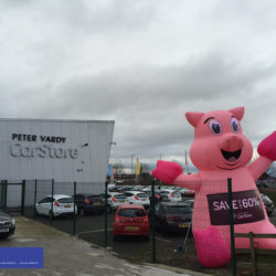 Inflatable Pig