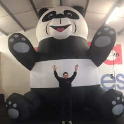 Panda Inflatable