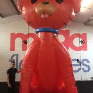 Giant Inflatable Cat