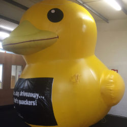 Giant Inflatable Animals for Hire, Giant Inflatable Duck by Megaflatables