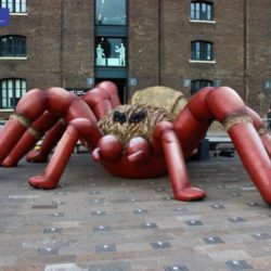 Giant Inflatable Spider Halloween Daytime