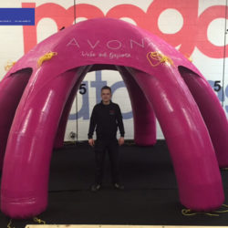 Giant Inflatable Avon Pink Dome