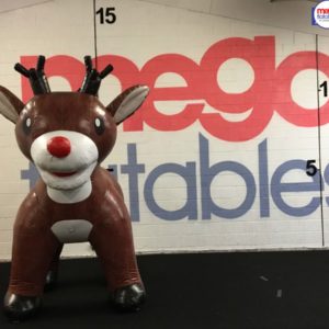 Bespoke Inflatable Reindeer