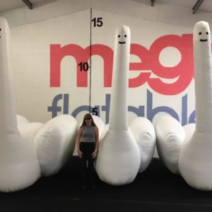 Inflatable Swans