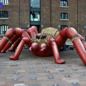 inflatable tarantula