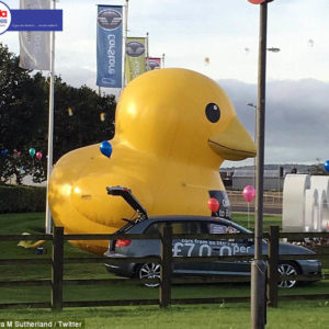 Giant Inflatable Duck