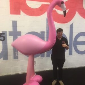 Huge Inflatable Flamingo