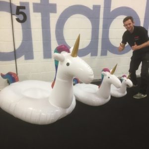 Bespoke Unicorn Inflatables