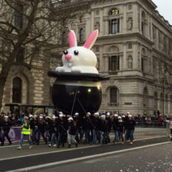 Parade Rabbit