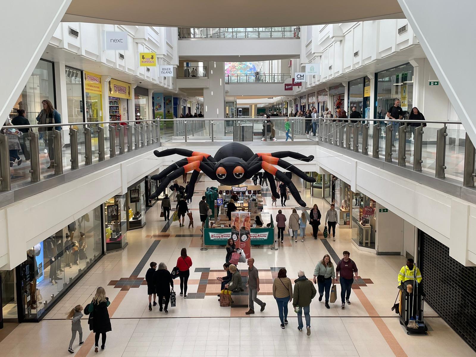 Giant Inflatable Animals, Custom Animal Inflatables