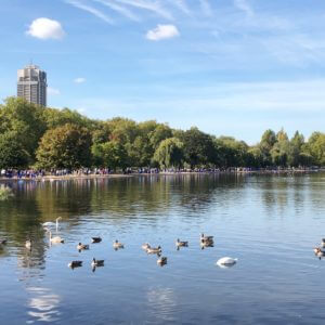 Landscape view of a lake