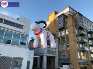Giant Inflatable Goat