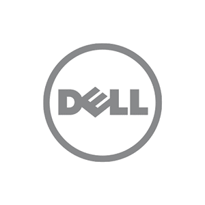Dell Icon