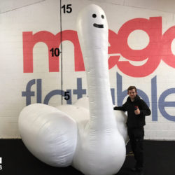 Inflatable Swan Thing