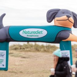 Custom Inflatable Arch