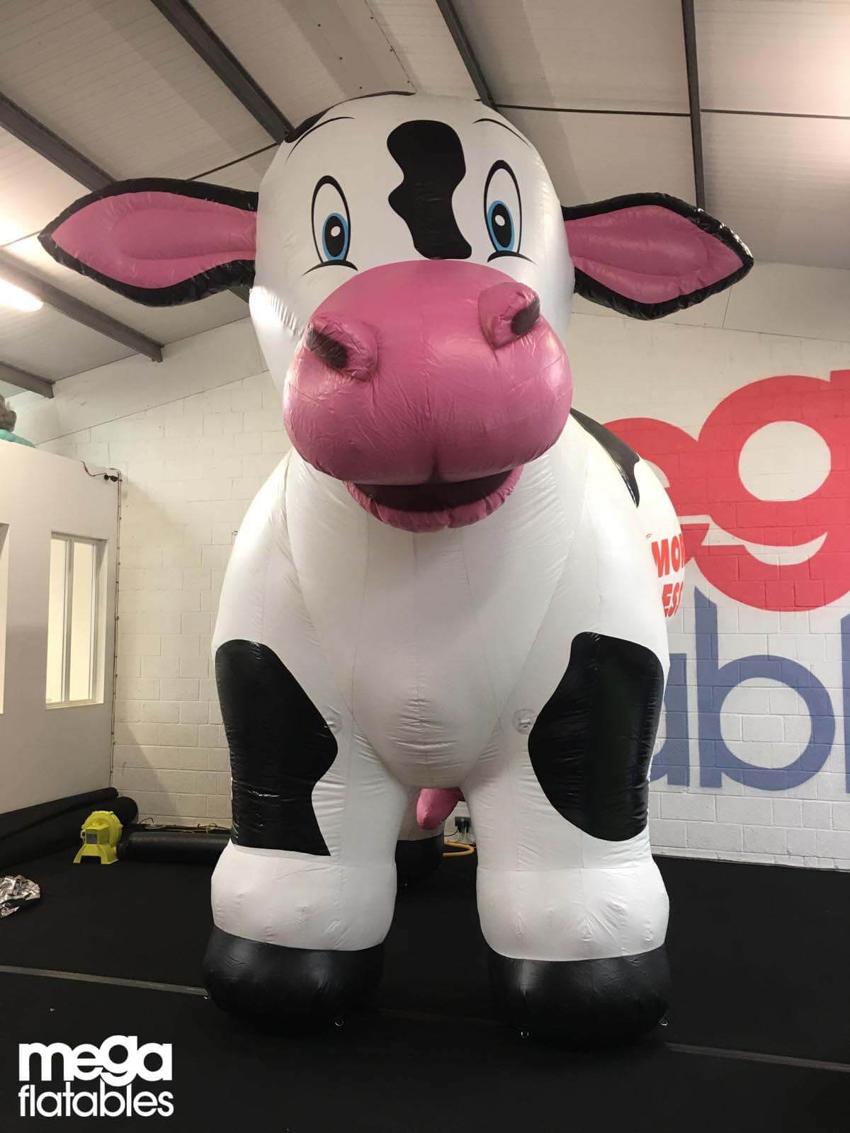 ride on inflatable animals