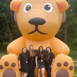 Giant Inflatable Animals for Hire, Giant Inflatable Lion by Megaflatables