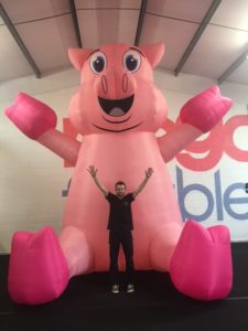 Giant Inflatable Animals for Hire, Giant Inflatable Pig by Megaflatables