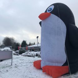 Giant Inflatable Animals for Hire, Giant Inflatable Penguin by Megaflatables