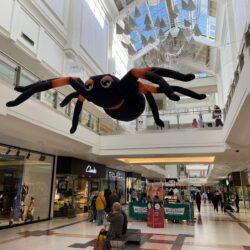 Giant inflatable Halloween spider