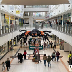 Giant Spider inflatable